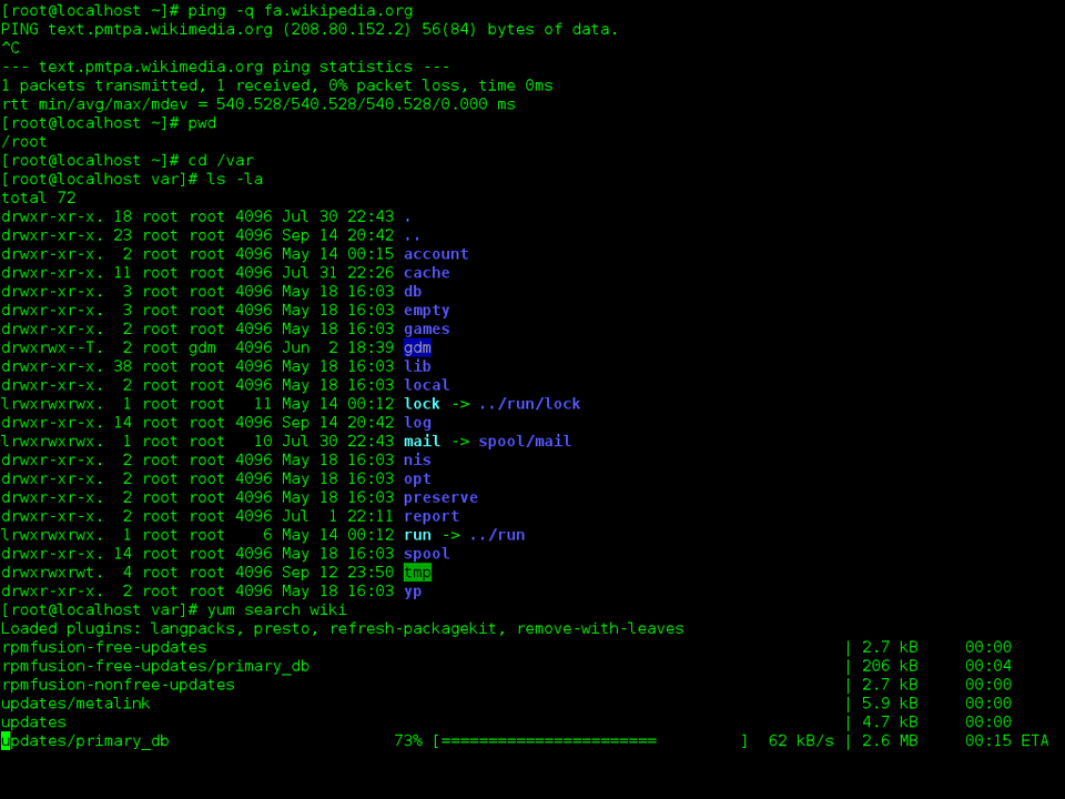 Terminal screenshot